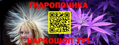 прущие крисы Мариинск