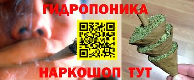 прущие крисы Мариинск