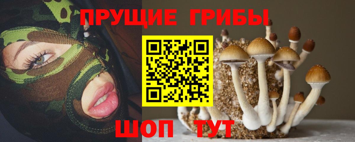 Галлюциногенные грибы прущие грибы Армавир